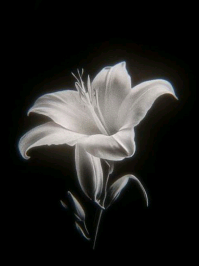 #KIRITO AND #ASUNA  —𝐂υ𝖾𐓣𝗍α ᑯ𝖾ᑯ𝗂𝖼αᑯα α ꭑ𝗂 𐓣ⱺ𝗏𝗂α 💘 No saben cuando la amo 💗 ella es mi todo,mi tesoro 💕 #swordartonline 