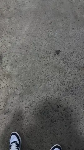 Follow please ❤️❤️