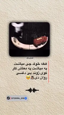 #پکتیـــاوال_یـــــم_جـــــناب😎 #پکتیـــاوال_یـــــم_جـــــناب😎 #پشتون_تاجیک_هزاره_ازبک_زنده_باد #پشتون_تاجیک_هزاره_ازبک_زنده_باد #پشتون_تاجیک_هزاره_ازبک_زنده_باد 