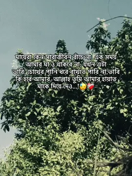 মায়েরা কেন সারাজীবন বাঁচে না, এক সময় আমার মা ও থাকবে না, যখন এটা ভাবি, চোখের পানি ধরে রাখতে পারি না, ভাবি কি হবে আমার, আল্লাহ তুমি আমার হায়াত মাকে দিয়ে দেও...:(😓❤️‍🩹
