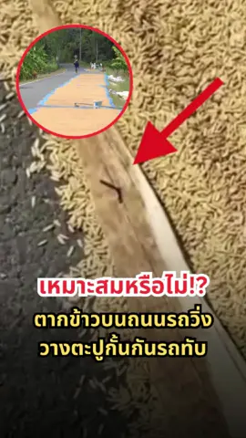 ชาวเน็ตจวกยับ! ชาวนาตากข้าวบนถนนรถวิ่ง วางไม้ตะปูเป็นแนวกั้น หวั่นผู้สัญจรได้รับอันตราย