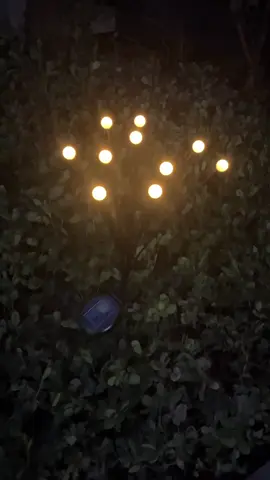 Ánh sáng tinh tế – không gian đẳng cấp 💡 Đèn Led Đom Đóm năng lượng mặt trời giúp bạn biến sân vườn, ban công thành góc decor sang trọng chỉ trong vài phút. Tự sạc ban ngày, tự sáng ban đêm – chống nước, bền đẹp, không tốn điện! #denleddomdom #dentrangtrisanvuon #denledngoaitroi 