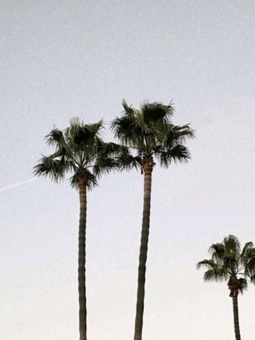 me agarré a los más gatos yo también... 🥀🥀 #armybts #fyp #argentina #humor #suga