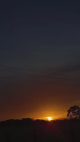 Lunes ✨ #buenosdias #lunes #november #2025 #motivation 