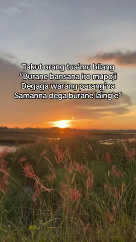 #bugispride🏝️🔥 #bugiswajo #storybugis #katakatabugis #fyp 