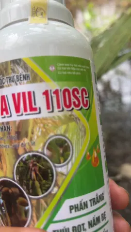 Japa vil 110SC chuyên trị nấm khuẩn cháy lá đốm lá phấn trắng thúi đọt rụng trái non cho cây dừa #thuocbaovethucvat #xuhuong #japavil110sc #anhtudua 