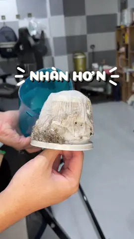 lưới lọc bụi cho máy hút bụi #luoilocmayhutbui #luoilocloihutbui #luoilocbui #mayhutbui #reviewerla 