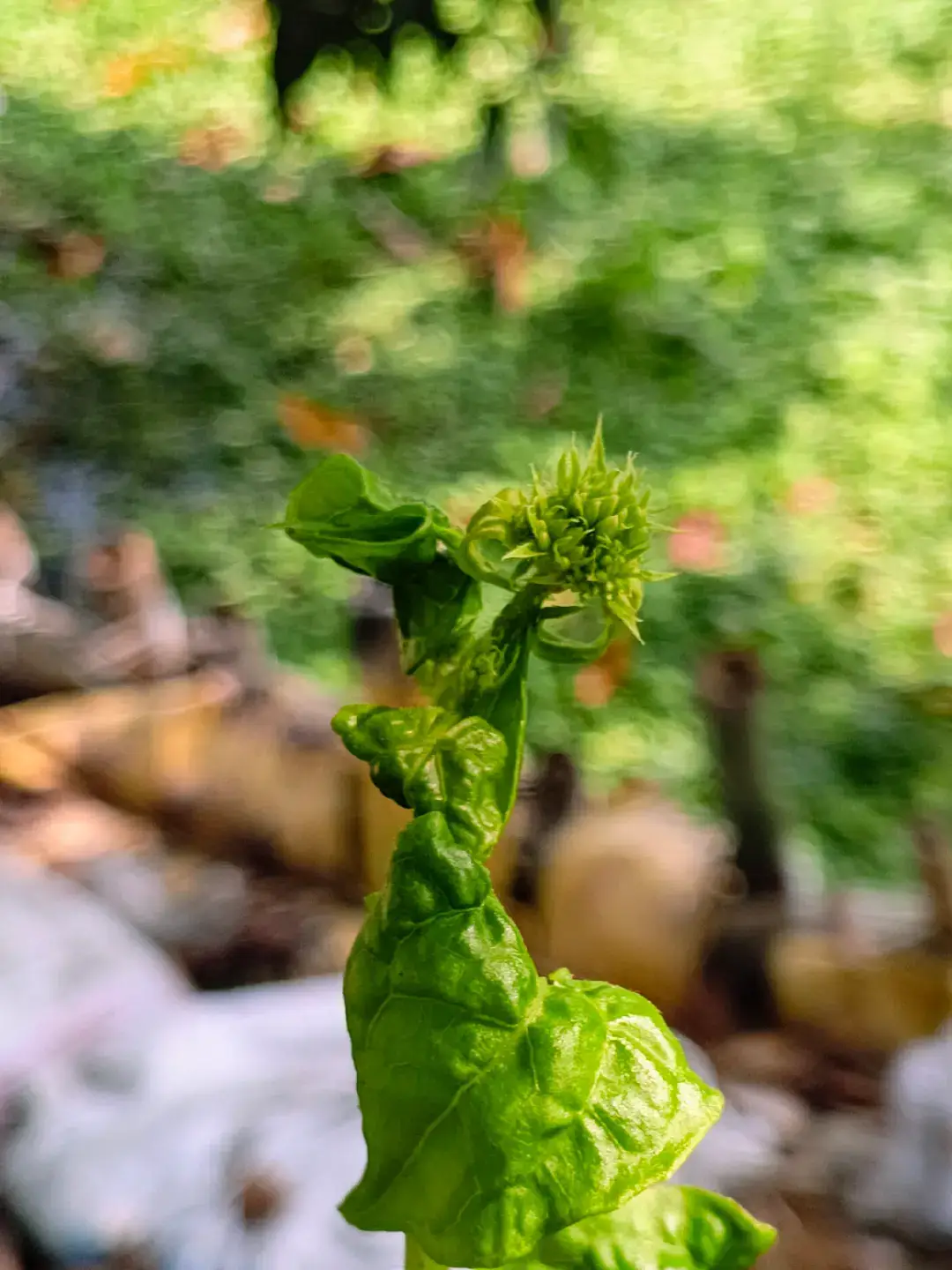 #🥰🥰🥰🥰❤️❤️❤️ #😘😘😘 #