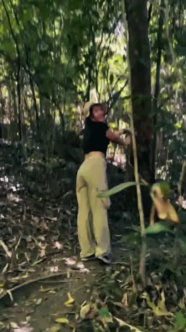 #หนีเข้าป่า #ฮีลใจตัวเอง #เชียงใหม่ #CapCut 