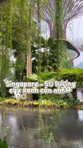 Singapore - Số lượng cây xanh còn nhiều hơn quán cafe #singapore #duhocsingapore #newlifeduhoc #newlife #xuhuong 