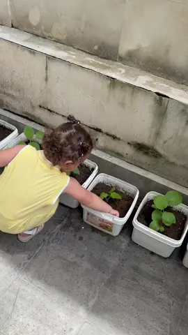 #briella #fyp #foryou #foryoupage 