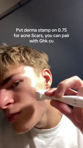 #dermastamp #tiktokshopblackfriday #tiktokshopcreatorpicks #looksmax #acnescars 