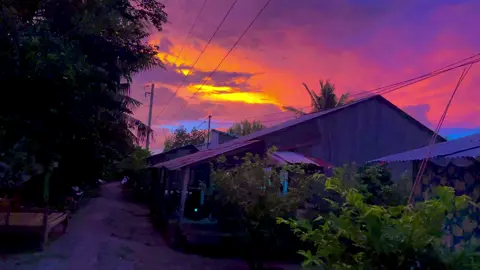 Nôn tết dữ chưa các bạn🥰❤️#chil #binhyen #tet2026 #canhdep #xuhuongtiktok 