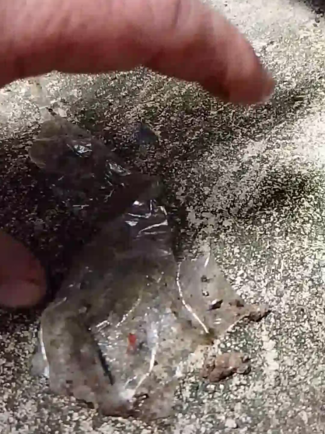 Welcome to the greatest magic trick you never saw!  It is my opinion that the places I have lived and visited in the last 4 years (the US, Thailand, and Cambodia) are being intentionally systematically maliciously littered, and boobietrapped, 24/7 with; detritus, cans, bottles, plastic bags, tooth cleaners, trash, shoes, sticks, branches and various other repeating littering objects, in order to make the roads, streets, parks, alleyways, forested areas, public spaces of towns, city, states and countries look downtrodden, unkempt, cluttered, filthy and depressing.  It's being done right before your eyes, everywhere at the same time. Thats why you're not noticing it. Please examine the documentary evidence for yourself. And above all, please help pick up. Thank you.  #litter #garden #misdirection #magic #psyop