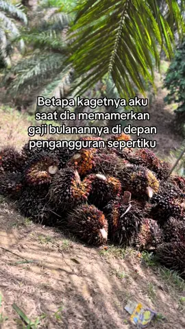 🗿#sawittiktok🌴🌴🌴 #masukberanda #petanisawit #bosmuda #kerjakeras #sawit🌴 #mobillangsirsawit #fyp 