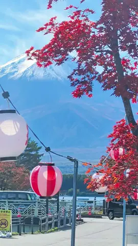 今日の美しい景色の共有☺️☺️ #富士山#紅葉#美しい風景 #自然 #Vlog 