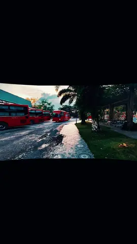 vẫn là chiếc xe ấy 😁😁 Sài Gòn - Trà Ôn (104) 50H.693.61 Sài Gòn - Trà Ôn (101) 50H.694.28 #futatraon #futabusline_19006029 #futabusline_19006067 #50h69428 #50h69361 @phanvinhthuan2001 