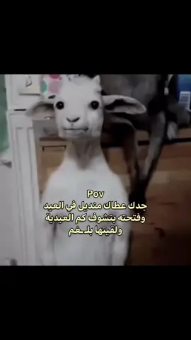 #اكسبلور #fyp 