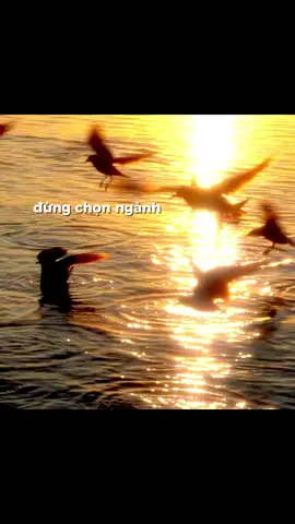 Bạn đã từng có suy nghĩ như vậy đúng không? #999loihuavoibanthan #BookTok #phattrienbanthan #loikhuyen #xuhuong 