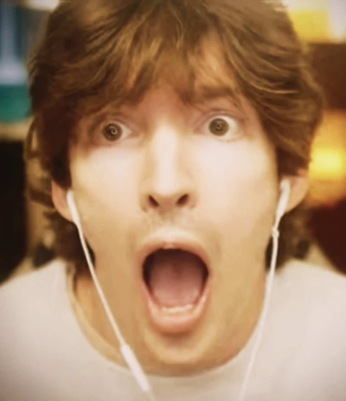 FLAMINGO POSTEDD -- #fyp #flamingoalbert #flamingoedit #albertaretz #roblox 