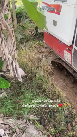 #ฟืดดด #บ้านหนองสองห้องซิตี้ #วิวบ้านนอกคนล่ะหนึ่งใจค้าบ #ทีมงานป๋าก่ํา🌾🚜 