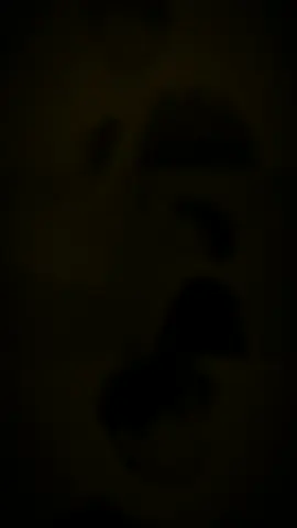 mùa đông này có anh ... 💗 #CapCut #xuhuong @qh.masterd 