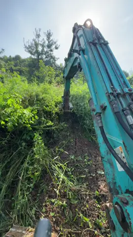 nắng đẹp đi dọn cỏ vườn là đúng bài