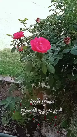 #اكسبلورررر 