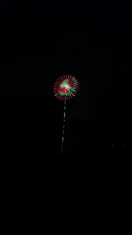 Trả lời @Ẩm thực Việt Nam dạ cao 6mét, đường kính 2mét1 ạ #ledphaohoa #ledphaohoangoaitroi #denledphaohoangoaitroi 