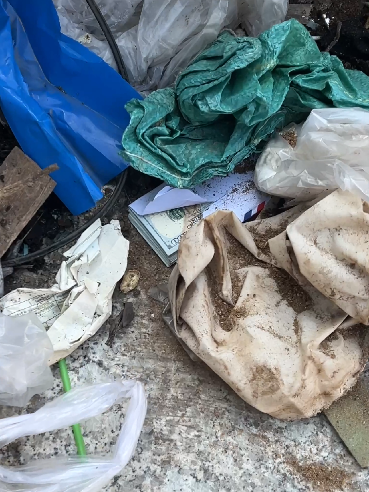 Wass! I found money 10000$ on the garbage dump #dollar #money #fyp #pageforyou #viral 