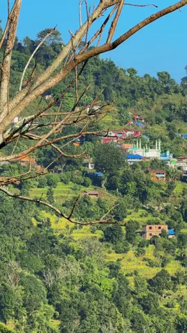 Rupakot Miyagaun ❤️🙏#rupakot #miyagaun #pokharamuser 