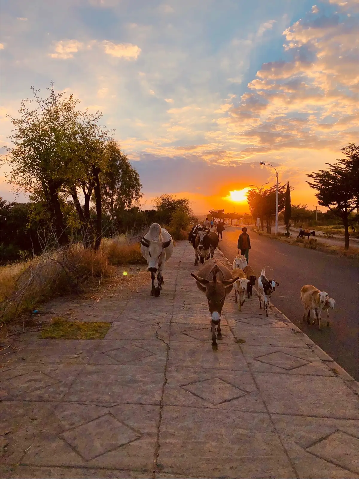 #photography #gathering #tigraygathering 