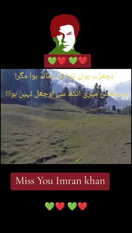 𒆜🅸🅼🆁🅰🅽 🅺🅷🅰🅽𒆜 #fyp #foryoupage #@Imran Khan Official @PTI OFFICIAL 