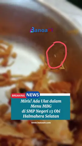 OBI, BanoaTV — Program Makan Bergizi Gratis (MBG) kembali menjadi buah bibir publik setelah muncul insiden menjijikkan di SMP Negeri 13 Halmahera Selatan, Kecamatan Obi Induk. Dalam menu makan siang yang disajikan pada Kamis (6/11/2025), ditemukan cacing atau ulat di dalam hidangan ayam suwir dan semangka. Insiden ini memperpanjang daftar persoalan yang membayangi program unggulan nasional yang digagas Presiden Prabowo Subianto, yang sejatinya bertujuan untuk meningkatkan asupan gizi bagi pelajar di seluruh Indonesia. Salah satu guru di sekolah tersebut, yang enggan disebut namanya, membenarkan adanya kejadian itu saat dikonfirmasi melalui pesan WhatsApp. “Memang sempat ditemukan adanya cacing atau ulat di dalam ayam suwir. Setelah diketahui, kami langsung melapor ke pihak SPPG (Satuan Pelaksana Program Gizi),” ujarnya. Guru tersebut menambahkan, pihak sekolah bersama SPPG langsung melakukan pemeriksaan terhadap sampel makanan. Hasil sementara menunjukkan bahwa sumber ulat diduga berasal dari buah semangka yang sudah tidak segar. “Pihak SPPG bilang, jenis ulat itu memang biasa ditemukan di semangka busuk. Kami minta maaf atas kejadian ini,” ungkapnya menirukan keterangan dari pihak SPPG. Meski dianggap sebagai insiden pertama, peristiwa ini menimbulkan pertanyaan besar soal pengawasan, higienitas, dan kontrol kualitas penyedia makanan MBG di lapangan. Dugaan sementara, keteledoran dapur penyedia menjadi penyebab utama ulat bisa lolos hingga ke piring siswa. “Kemungkinan semangka tidak dibersihkan dengan benar sebelum dicampur ke dalam menu ayam suwir,” katanya. Program MBG di Halmahera Selatan bukan kali pertama disorot. Sebelumnya, berbagai laporan muncul mengenai menu yg tidak higienis, dugaan korupsi pengadaan, hingga buruknya manajemen penyedia makanan. Kondisi ini menimbulkan kekhawatiran bahwa semangat program pemerintah untuk mencetak generasi sehat justru terancam oleh kelalaian dan lemahnya pengawasan di daerah. Sementara itu, Kepala Sekolah SMP Negeri 13 Halmahera Selatan saat dikonfirmasi menolak menyampaikan keterangan kepada pihak luar. “Pa kami tidak bisa memberikan informasi temuan MBG disekolah kepada pihak luar Ini sudah ada dalam perjanjian kerja sama / SOP dengan penyedia jadi mohon maaf Pa,”tendanya. #banoatv #MBG #vidioviral #Fypp 