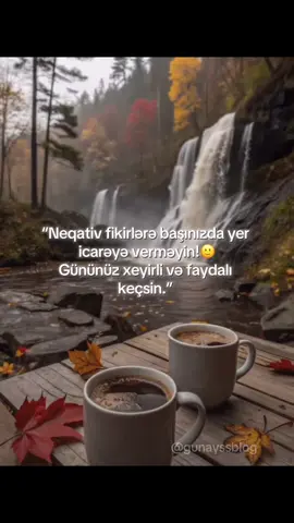 «Не позволяйте негативным мыслям арендовать место в вашей голове! Пусть ваш день будет добрым и полезным.» video:Pinterest  #blog #pozitifenerji #motivation #düşüncegücü #qlobalkewfet 