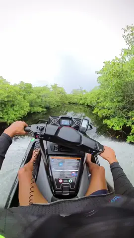 උදේ පාන්දර ඇලේ කිබුල්ලු බලන්න යන මම 🐊🚤 #gaurawa #lankanboy🇱🇰 #nature #jetski #traveling 