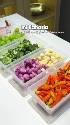 Membalas @Nurma Yunita rahasia cabe bawang lebih awet, fresh dan tahan lama, food prep di wadah tertutup. #wadahbumbu #wadahbumbudapur #tempatbumbu #foodprep #wadahfoodprep 