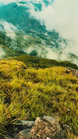 Lên tà xùa thoải mái nhất giây phút này #taxua #sanmaytaxua #thienduongmaytaxua 