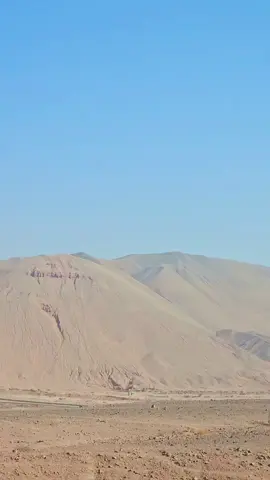 #لا_احد_يشره_علي_في_ضحى_او_عثير 