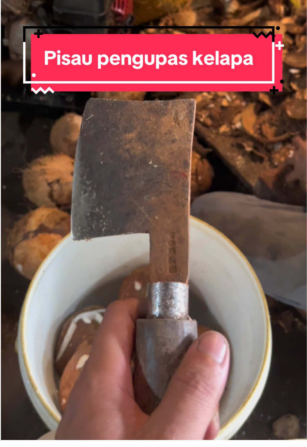 Cara mengupas kulit(batok) kelapa tua #kelapatua #pengupaskelapa #viral 