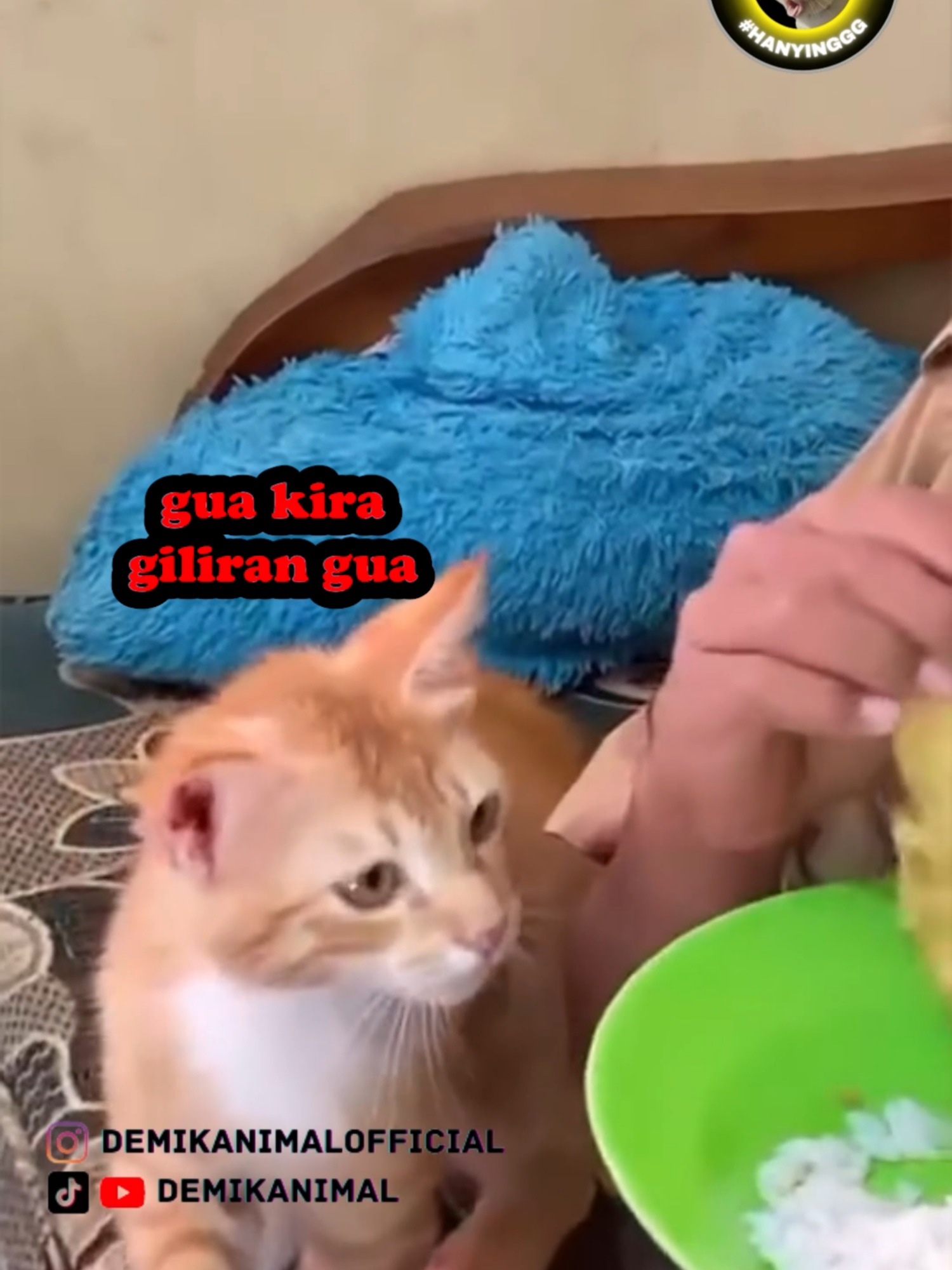 MENUNGGU GILIRAN #fyp #foryoupage #foryou #dubbing #dubbinglucu #dubbinghewan #dubbingbinatang #demikanimal #dubbingindonesia