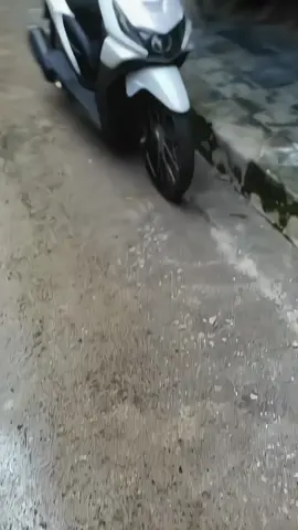 sb #beatkarbugenk #beat #beatkarbumodifikasi #beatkarbuproper #beatkarbuproper 