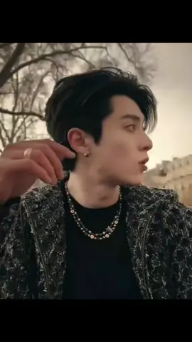 #dylanwang王鹤棣#王鹤棣_dylanwang#aktorchina#capcut_edit #fyppppppppppppppppppppppp 