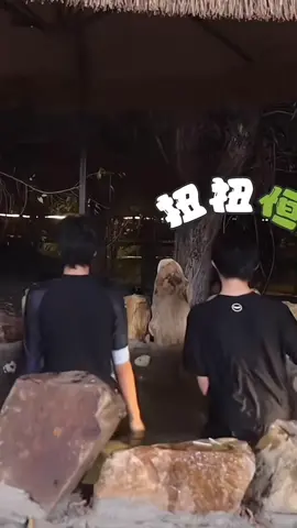 Sự đồng bộ hoàn hảo của Gui Heng #chenyiheng #陈奕恒 #zhangguiyuan #đạicamẫugiáo👻 #fyp 