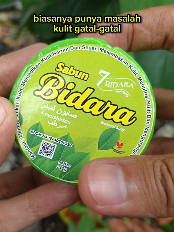 sabun Bidara original #sabunbidara #sabunherbal #sabungatal #sabunwangi #gajiansale 