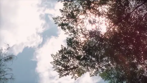 twd cinematography is peak, if only the writing wasn’t shit for the most part. S4’s the best, let’s be honest with ourselves and A Certain Doom is the best volume. #twd #cinematography #twdscenery #twdvember #thewalkingdead @𝓢𝓪𝓵𝓪𝓶𝓪𝓷𝓬𝓪 @Twd comic glazer @Izzy @Ray 🐉🧟‍♂️ @Taco @Tpiscoo @💔💔💔 