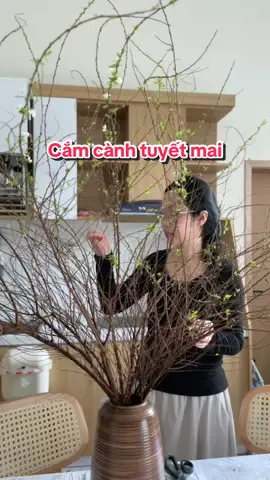 Chờ 100 ngày nữa mới Tết thì thui nay mình nhâm mắt cắm lun: Tuyết mai rừng #tết2026 #decor #LearnOnTikTok #trangtrinhacua #foryou 