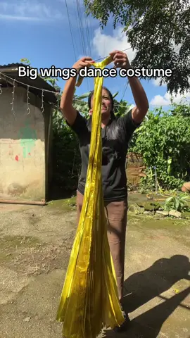 Big wings skirt dance costume 