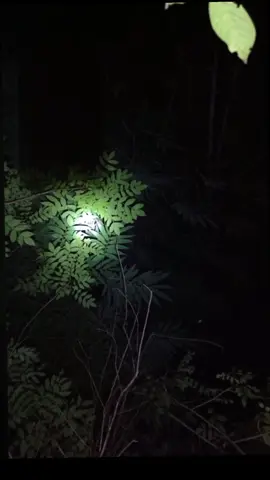 Mini 4tr nha các bác#bomcaoap #pcp #pcptruyenthong #xuhuong 