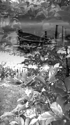 الهدوء أسلوب راق لايعرفه كل البشر!!!  #foryoupage #capcut #duet #fyp #اقتباسات_عبارات_خواطر 